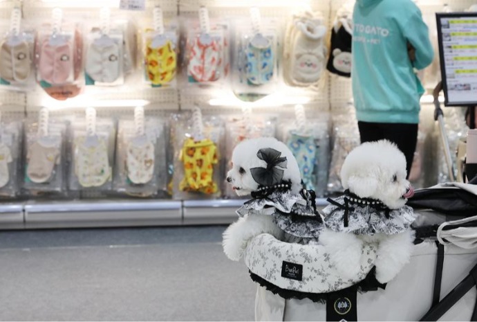 [사진으로 보는 한국] 강아지들의 즐거운 쇼핑 시간