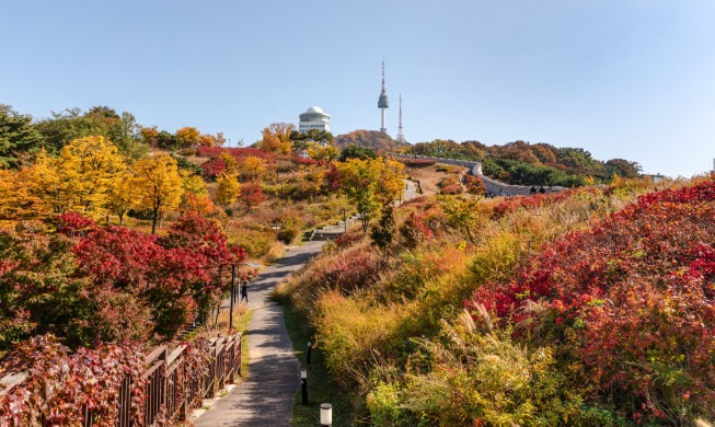 Gyeongbokgung Palace tops fall attraction list in Seoul: study