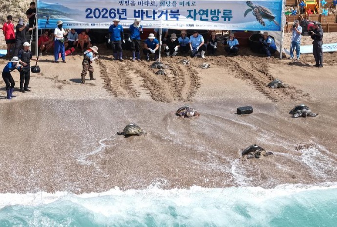 [사진으로 보는 한국] 다시 고향 바다로