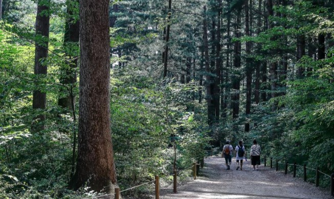 New K-Forest for All brand to stress global forestry cooperation