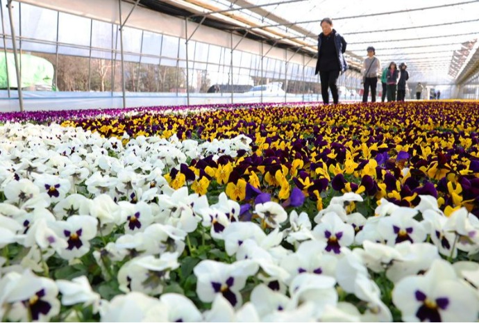 [사진으로 보는 한국] 봄을 키우는 시간