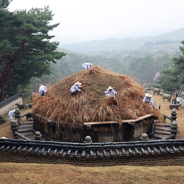 Trimming grass on royal Joseon tomb on Cold Food Day