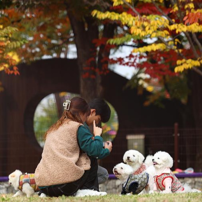 First 'pet park' opened at Gimpo Int'l Airport