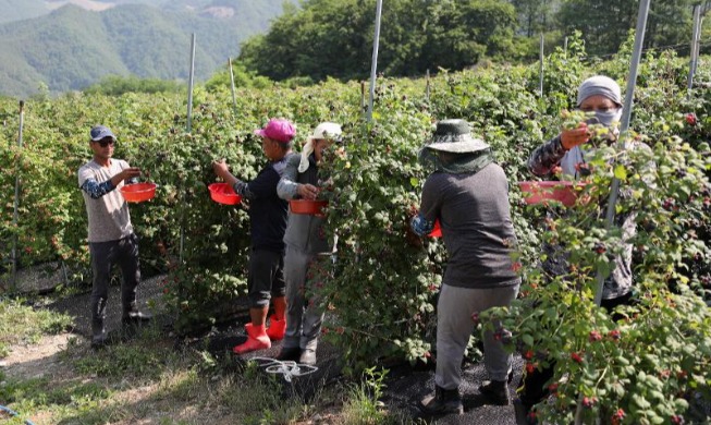 Exception to allow depopulating areas to hire more foreign labor