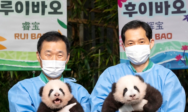 First twin giant pandas born in Korea named Rui Bao, Hui Bao