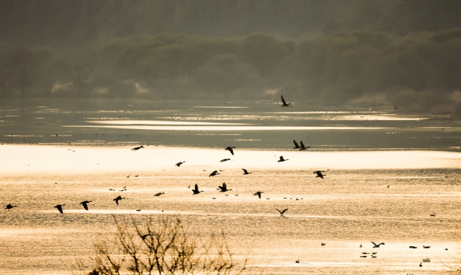 [World Heritage candidates] ④ Upo Wetland: nature sanctuary