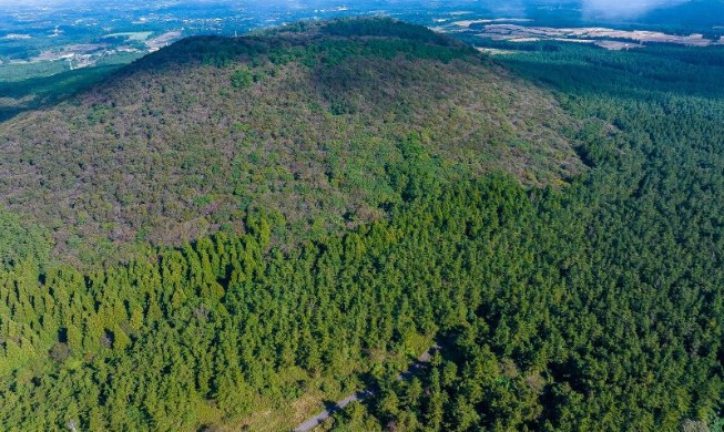 [Public admire-stration] ④ Reforestation creates green miracle