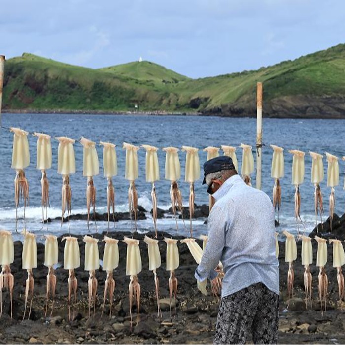 Hanging squid drying in sea breeze