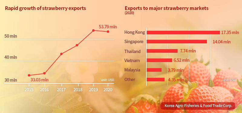 What Is The Secret Behind Korean Strawberries Success Korea Net The Official Website Of The Republic Of Korea