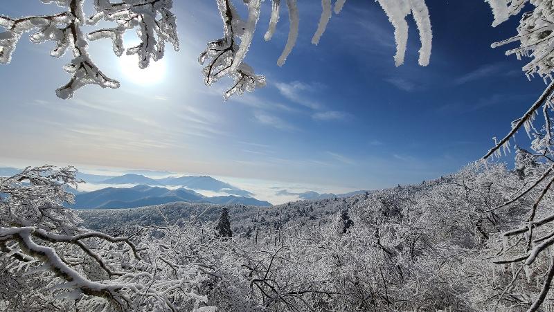 snowfall in March, Balwangsan Mountain, Pyeongchang