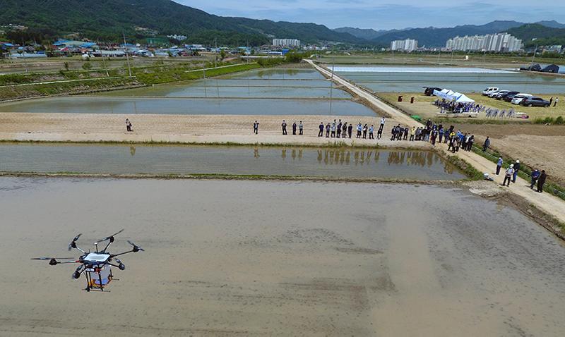 [사진으로 보는 한국] 농업용 대형 드론으로 볍씨 파종