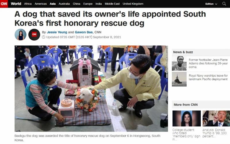 A dog that saved its owner's life appointed South Korea's first honorary rescue dog