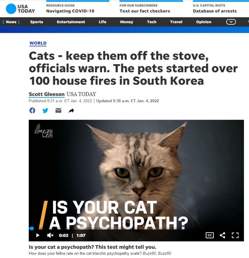 USA Today on Jan. 5 covered the warning issued by Seoul's fire department that cats can cause house fires. (Screen capture from USA Today)