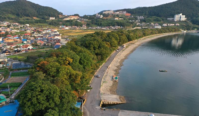 Mulgeon Windbreak Forest in the village of Mulgeon-ri on the coast of Samdong-myeon Township is far more than a mere forest that protects against wind and tide. (Namhae Foundation for Tourism and Culture)