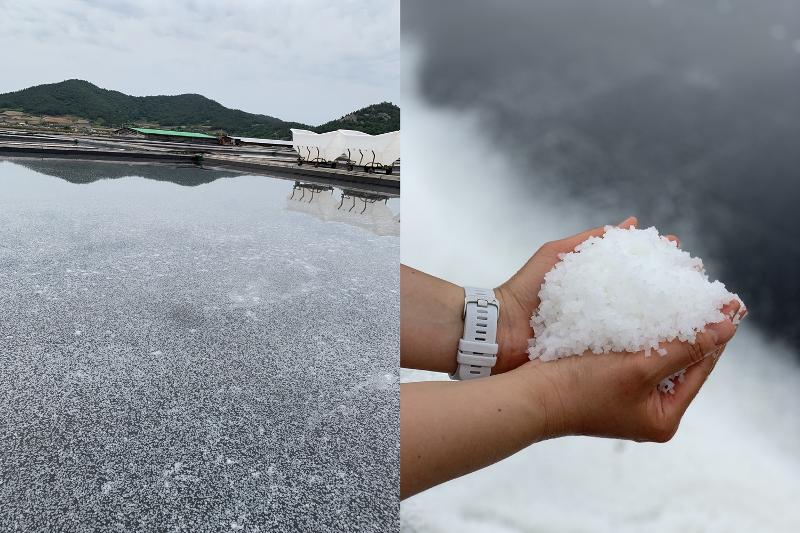 Bay salt freshly harvested from a salt farm (Jung Joo-ri)