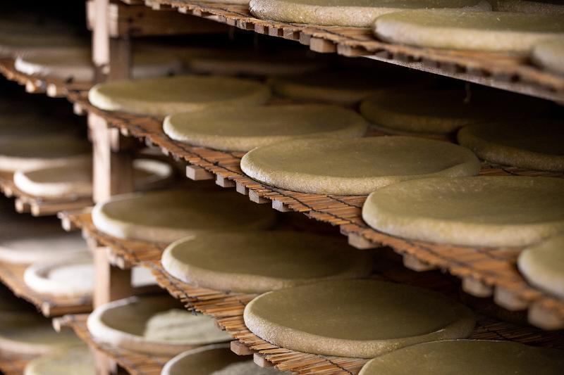 This is the room where Geumjeongsanseong Makgeolli's nuruk is produced, with hundreds of the fermentation starter shown. 