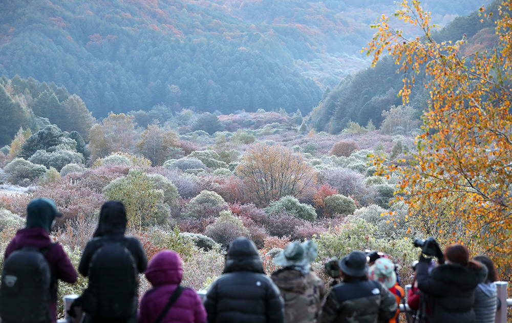 todayphoto_221018