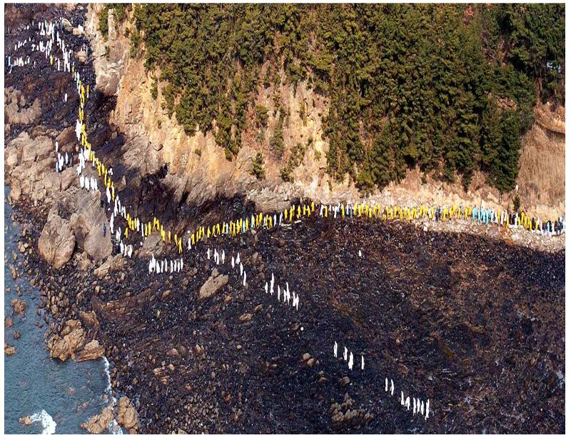 A massive set of records on Korean efforts to recover from the oil spill off the coast of Taean-gun County, Chungcheongnam-do Province, on Nov. 26 was one of the newest additions to the UNESCO Memory of the World Asia Pacific Regional Register. The documents received praise for documenting a case study in which the public and private sectors jointly overcame a large-scale environmental disaster. 