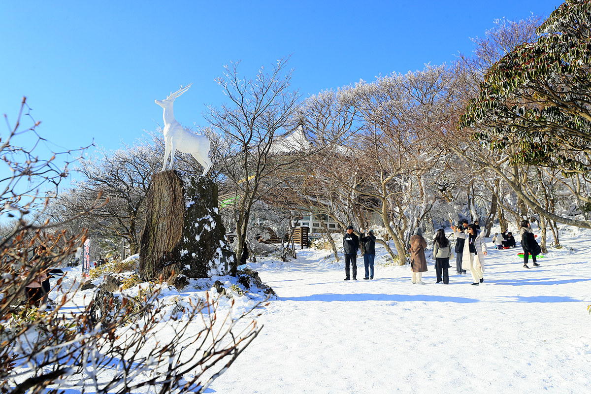 Tourists at 1100 Altitude Wetland on Hallasan Mountain of Jeju Island on the morning of Dec. 20 enjoy a wintry atmosphere, with over 30 cm of snow having fallen the previous weekend on the mountain.