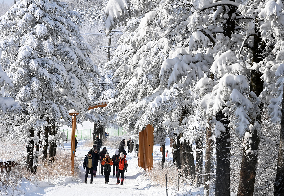 Hikers on the afternoon of Jan. 16 take in snow-covered views while going up the mountain pass Daegwallyeong in Pyeongchang-gun County, Gangwon-do Province.