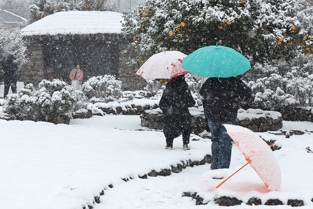 With a heavy snow alert issued for Jeju Island's mountainous areas, visitors on Jan. 27 walk in the snow at Hueree Natural Park in the town of Namwon-eup in the city of Seogwipo.