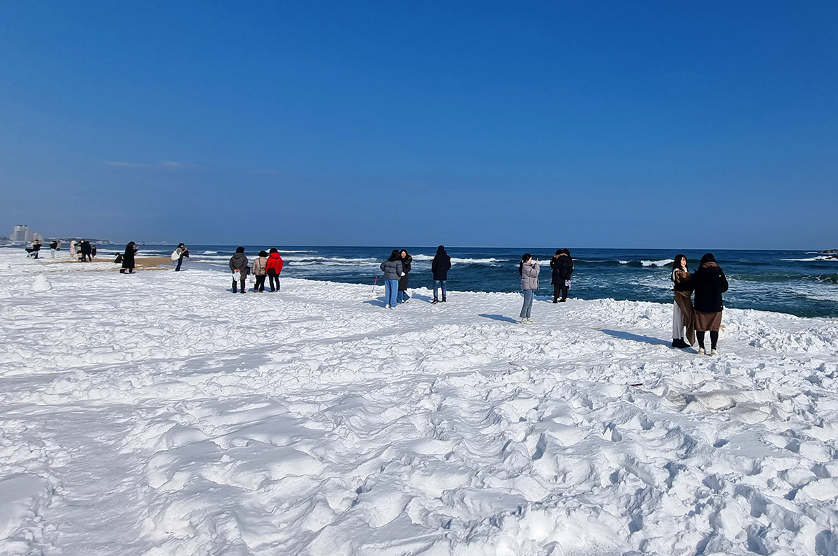 Snow on Gyeongpo Beach in Gangneung, Gangwon-do Province, on Feb. 16 creates unique scenery after piling up from the day before.