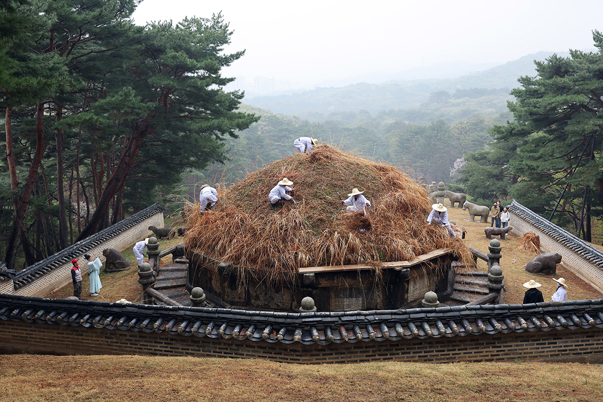 Marking Hansik (Cold Food Day), one of the nation's 24 traditional solar terms of a lunar year, landscapers on April 6 trim silver grass covering the burial mound of Geonwonneung, the grave of Joseon Dynasty founder Yi Seong-gye, among Donggureung (East Nine Royal Tombs) in Guri, Gyeonggi-do Province.