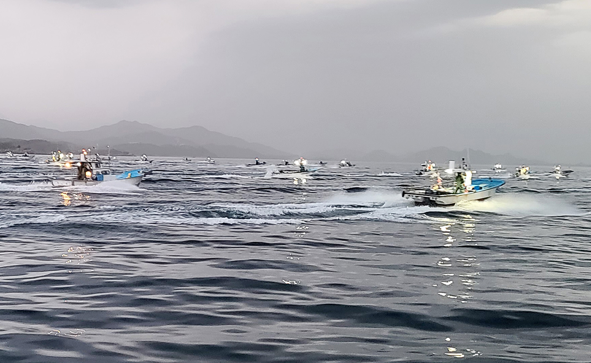 Fishing boats at dawn on April 14 enter the Jeodo fishery zone, which was opened to the public that day, after seeing a departure signal from the Korea Coast Guard in the northernmost area off the East Coast of Gangwon-do Province.