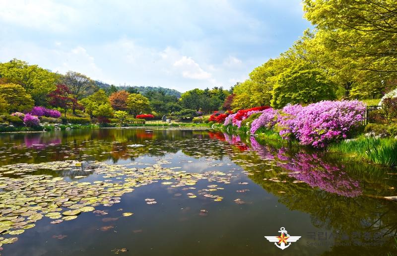 Seoul National Cemetery this month hosts a series of cultural events. Shown is the pond Hyeonchungcheon running through the cemetery in Seoul's Dongjak-gu District. (Seoul National Cemetery) 