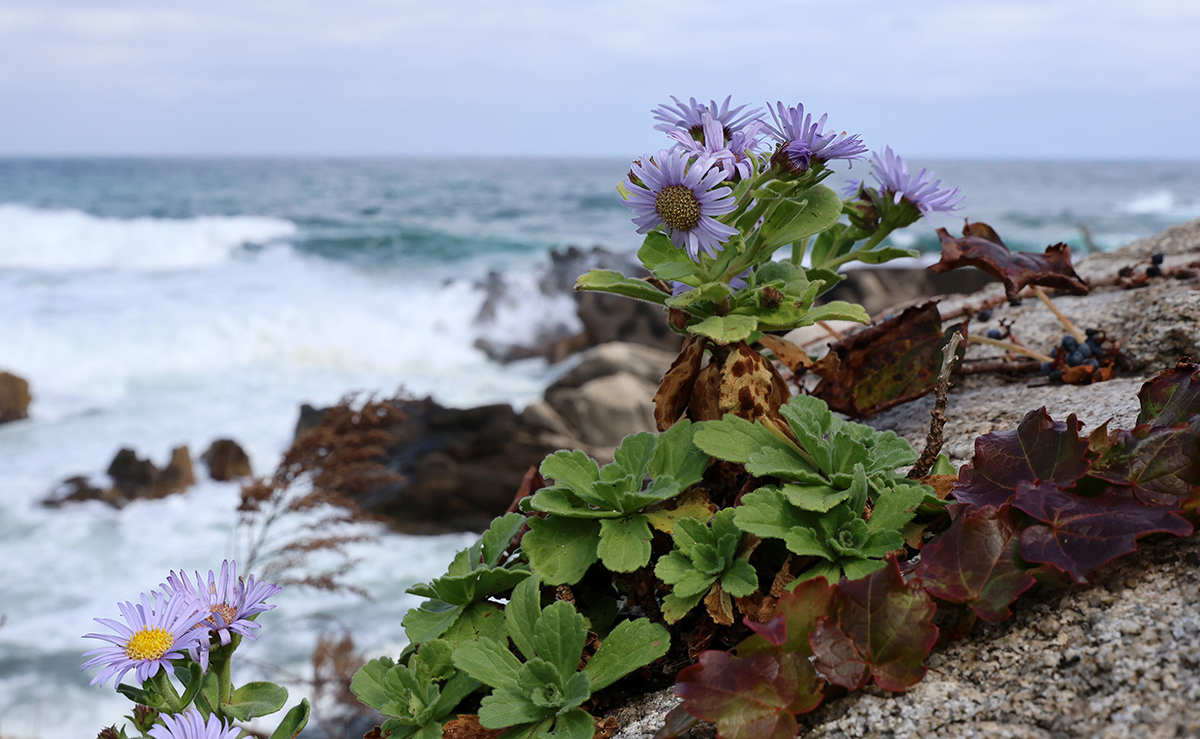 todayphoto_231023