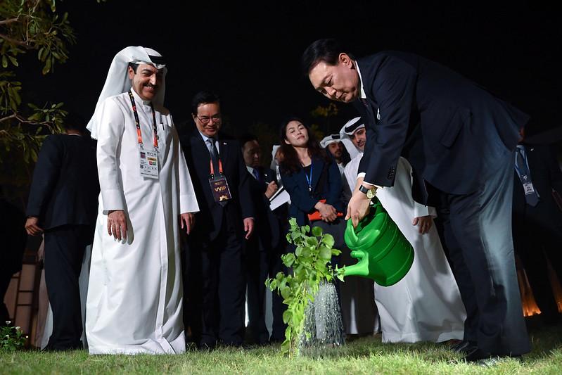 President Yoon Suk Yeol (right) on Oct. 24 waters date seedlings received as a gift from Qatari Emir Sheikh Tamim bin Hamad Al Thani at the opening ceremony of the Korean Pavilion at this year's International Horticultural Expo at Al Bidda Park in Doha, Qatar. (Kang Min Seok from Office of the President)