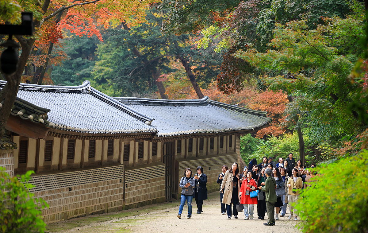 todayphoto_231101