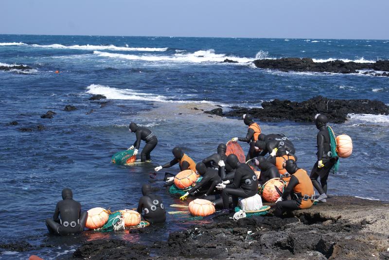 The haenyeo (fishing style of Jeju Island) is one of the newest additions to the Globally Important Agricultural Heritage System of the United Nations agency Food and Agriculture Organization (FAO), a designation received at the FAO's general assembly from Nov. 8-10 in Rome. Shown are female divers on the island doing muljil (diving activity). (Jeju Special Self-Governing Province).