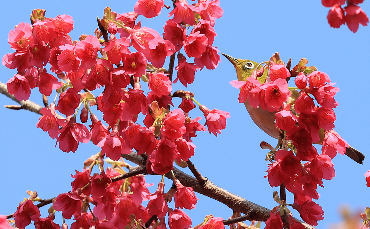 todayphoto_240215