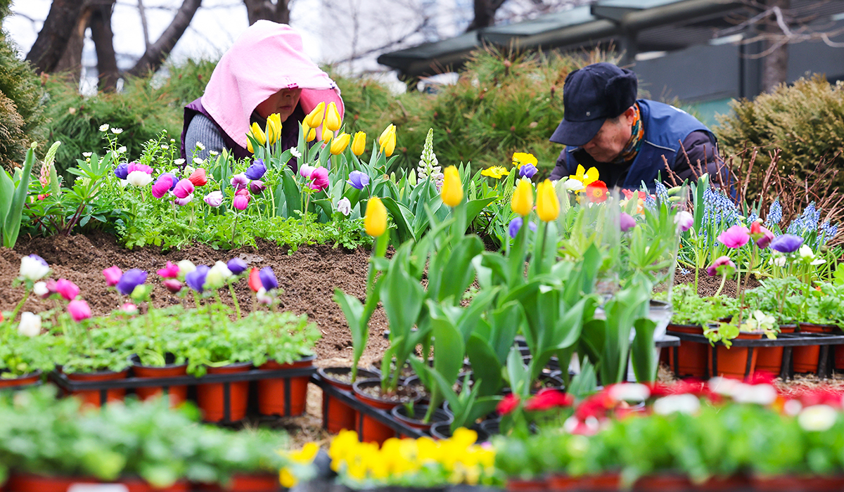 todayphoto_240229