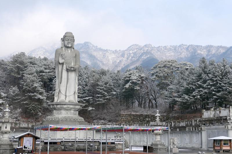 This is the foothills of Palgongsan Mountain as seen from behind the statue Tongil (Unification) Bhaisajyaguru Sutra at Donghwasa Temple in Daegu.