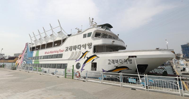 Jangsaengpo Whale Watching Cruise from March 30 will begin regular operations from Jangsaengpo, formerly the nation's largest whaling port, in Ulsan. (Yonhap News)