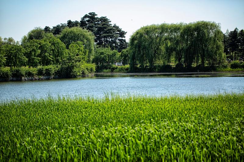 The northern Seoul suburb of Goyang, Gyeonggi-do Province, was named the world's 14th-best eco-friendly city to live in by the Global Destination Sustainability Index. Shown above is Ilsan Lake Park in the city. (iclickart) *[Unauthorized reproduction and redistribution of the above photo is strictly prohibited under copyright laws and regulations.] 