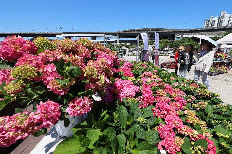 Visitors to this year's Seoul International Garden Show on May 16 look around at the event's venue of Ttukseom Hangang River Park in Seoul's Gwangjin-gu District. (Yonhap News) 