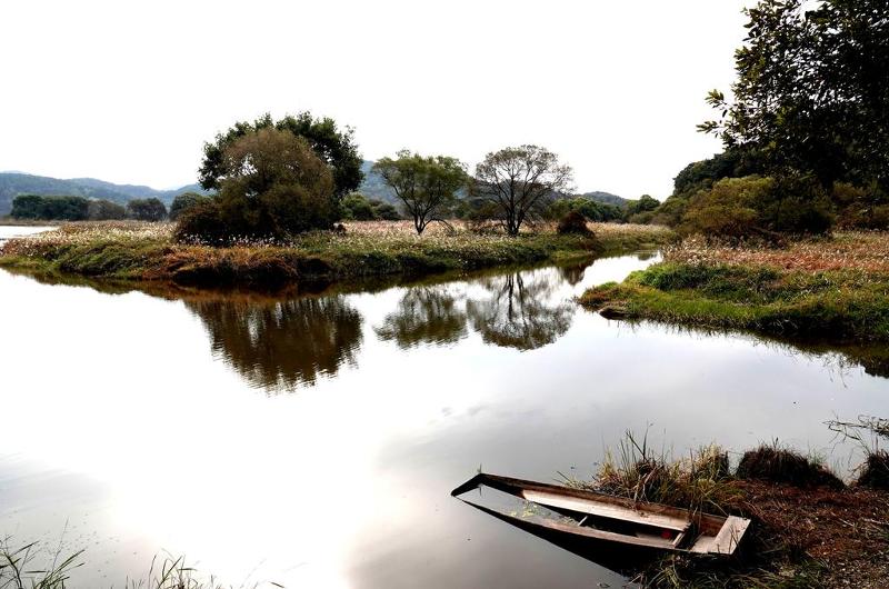 Changnyeong-gun County, Gyeongsangnam-do Province, on July 5 was designated Changnyeong Biosphere Reserve at the session of the International Co-ordinating Council for the UNESCO program Man and the Biosphere in Agadir, Morocco. Shown is Upo Wetland, a complex of natural wetlands in the county.