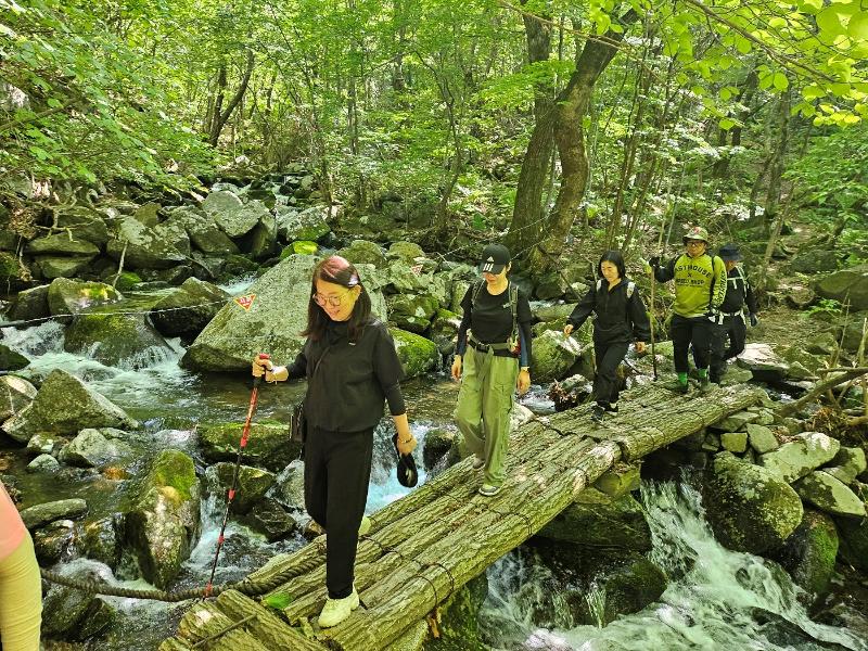 Visitors to the forest DMZ Punch Bowl Dulle Trail in Yanggu-gun County, Gangwon-do Province, cross a valley stream. 