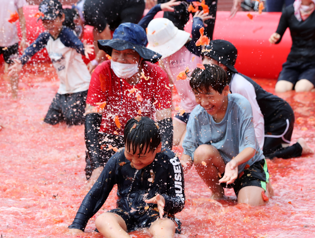 Children on the opening day of the Dunnae Goraengji Tomato Festival on Aug. 9 throw and smash tomatoes in a massive pool to find hidden prizes inside including gold rings at Dunnae Sports Park in Hoengseong-gun County, Gangwon-do Province. 