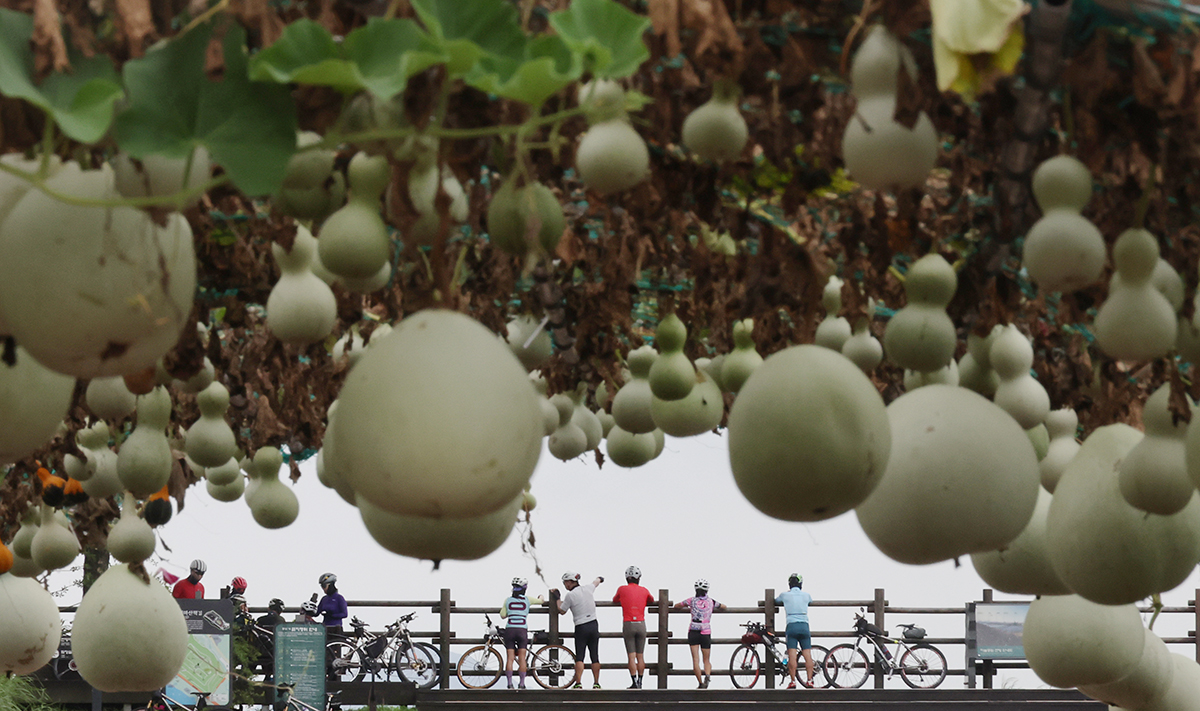 Visitors to Haneul Park on Aug. 22, or the day of cheoseo -- the end of heat -- according to the 24 seasonal solar terms used during the year, enjoy the view from the venue after riding bicycles.