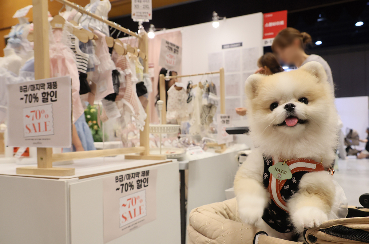Visitors on Aug. 23 to the 2024 K-Pet Fair Seoul held at the COEX Mall in Seoul's Gangnam-gu District look around pet-related items.