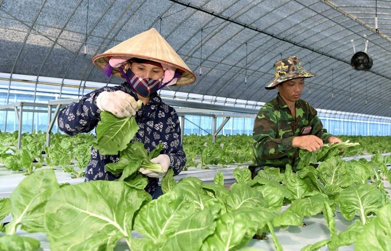Minister of Agriculture, Food and Rural Affairs Song Mi-ryung and Minister of Employment and Labor Lee Jung Sik on Aug. 6 inspected preparation to respond to the heat wave and prevent related illnesses at a farm in Chungju, Chungcheongbuk-do Province. Shown are seasonal foreign workers at a farm in Jangsu-gun County, Jeollabuk-do Province. (Jangsu County Office)
