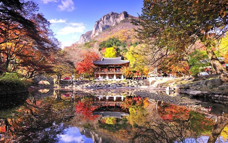 The Ministry of Culture, Sports and Tourism on Oct. 16 announced a variety of tourism content to promote domestic tourism for autumn. Shown is Naejangsan Mountain, one of the nation's leading tourist attractions for seeing fall foliage. (Yonhap News) 