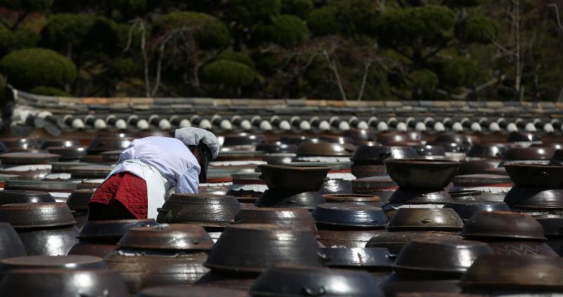 A woman tends to sauces stored in jangdokdae (traditional earthen pots) in Iksan, Jeollabuk-do Province. (Korea.net DB)