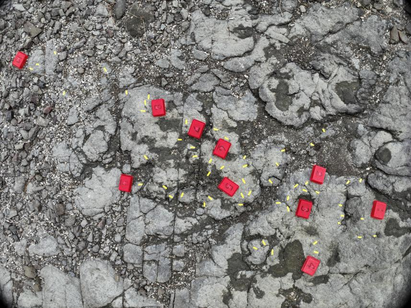 These dinosaur fossils are on Daereukdo Island off the coast of Yeosu, Jeollanam-do Province. (Korea Heritage Service)