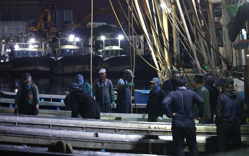 The Ministry of Oceans and Fisheries on Dec. 16 announced the minimum wage for ship workers next year at KRW 2,614,810. Shown are laborers about to head out to sea at a dock in Ongjin-gun County of Incheon. (Yonhap News)  
