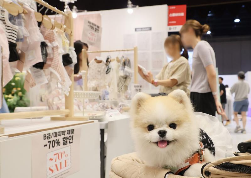 A dog on Aug. 23, 2024, poses for the camera at the 2024 K-Pet Fair Seoul held at COEX Mall in Seoul's Gangnam-gu District. (Yonhap News)  